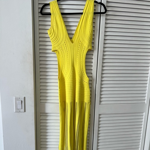 Ronny Kobo Dress - Picture 5 of 8